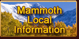 Click here to view detailed info about Mammoth Lakes