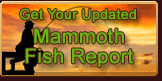 Click here to view Fish Report video